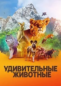 Удивительные животные (1 сезон)